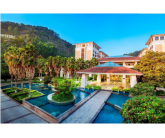 �B�T�����Ƶ�